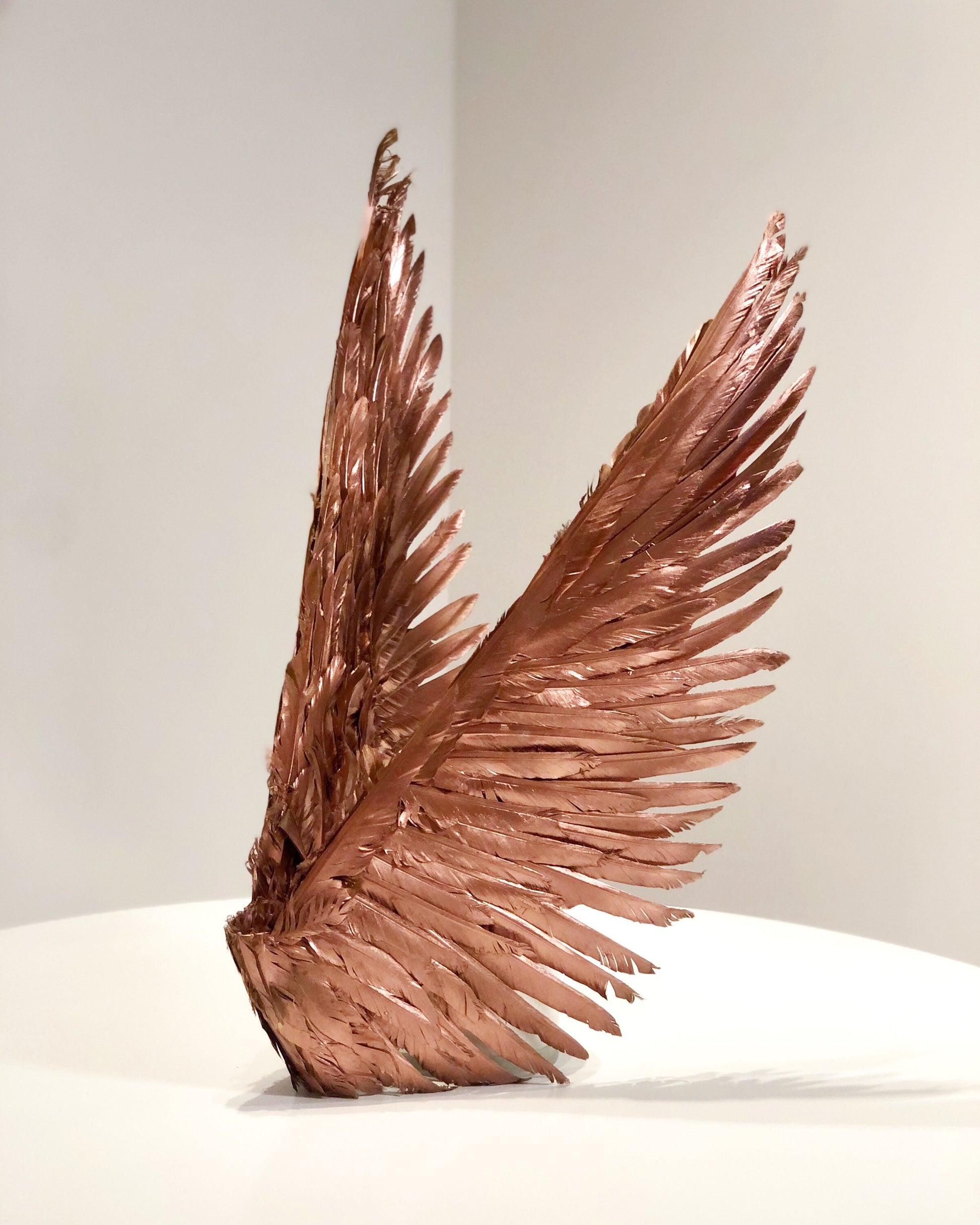 Rose Gold Angel Feather Wings