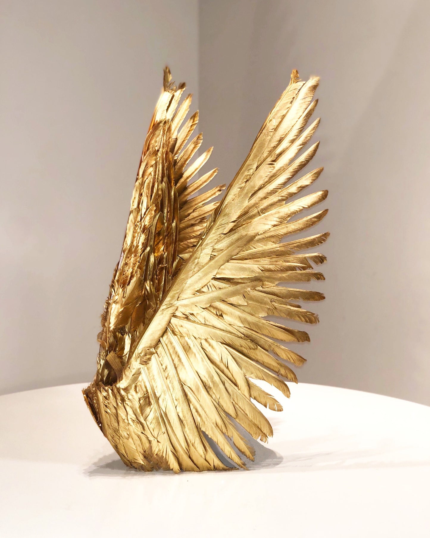 Gold Angel Feather Wings