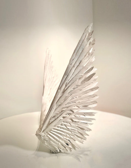 White Angel Feather Wings