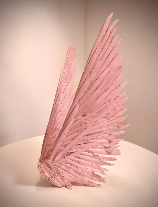 Candy Pink Angel Feather Wings